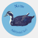 Search for black bird stickers Cute