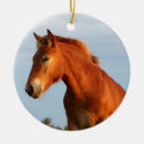 Search for mule christmas tree decorations Animal