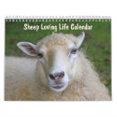 Search for farm animal calendars Sheep