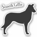 Search for smooth electronics Collie