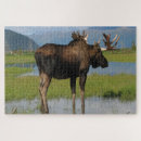 Search for moose puzzles Animal