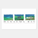 Search for turtle rectangle stickers Hawaii