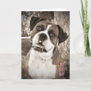Search for boxer dog fathers day cards Animal