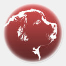 Search for newfoundland dog stickers Pets