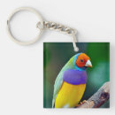 Search for finch key rings Cute