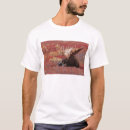Search for denali tshirts Bull