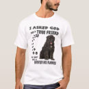 Search for flandres tshirts Flanders
