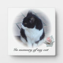 Search for display pet supplies Sympathy
