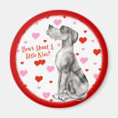 Search for merle magnets Dog