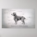 Search for funny golden retriever posters Cute