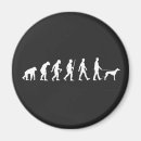 Search for owner magnets White