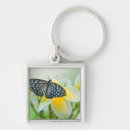 Search for nancy key rings Close up