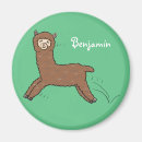 Search for alpaca magnets Cartoon