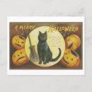 Search for vintage halloween black cat postcards Jack o lantern