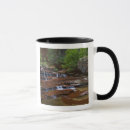 Search for backcountry mugs Stream