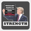 Search for trump wins stickers America