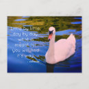 Search for bird sayings postcards Animal
