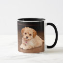 Search for maltipoo mugs Dog