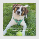 Search for dog save the dates Unique