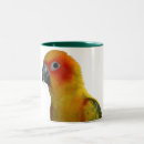 Search for sun conure mugs Parrot