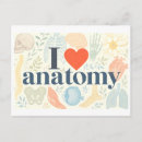 Search for anatomy postcards Illustration