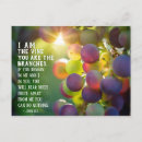 Search for vine postcards You are the branches