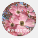 Search for dogwood flower stickers Pink