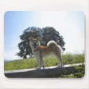Search for shiba inu mouse mats Full length