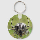 Search for webs key rings Nature