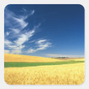Search for crops stickers Landscape