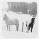 Search for horse pictures stickers Pictures of horses