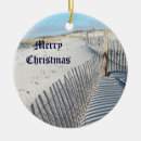 Search for dune christmas tree decorations Beach