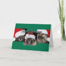 Search for non sporting cards Pets