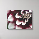 Search for dahlia canvas prints Botanical