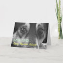 Search for pet rescue cards Pets