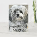 Search for having fun cards For kids