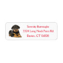 Search for rottweiler return address labels Puppies