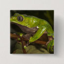 Search for 3 day square badges Green