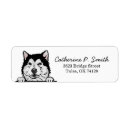 Search for alaskan malamute return address labels Dog