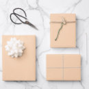 Search for solid peach wrapping paper Pastel