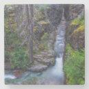 Search for bare coasters Landscape