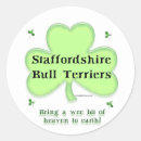 Search for staffies stickers Staffy