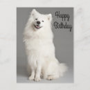 Search for eskimo cards Puppies