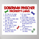 Search for doberman posters Dog
