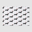 Search for dachshund tissue paper Cute