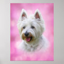 Search for yorky posters Pets