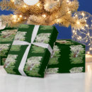 Search for chipmunk wrapping paper Nature