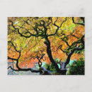 Search for fall colour postcards Tranquil
