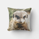 Search for meerkat cushions Cute