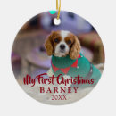 Search for photography christmas tree decorations Pet
